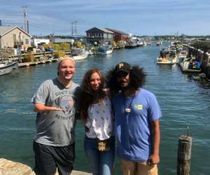 guests in the harbor