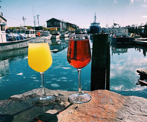 Mimosa's are best served in the sun. 