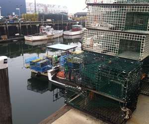 lobster traps in the marina